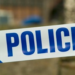 Police Services