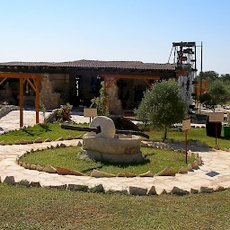 Oleastro Olive Park