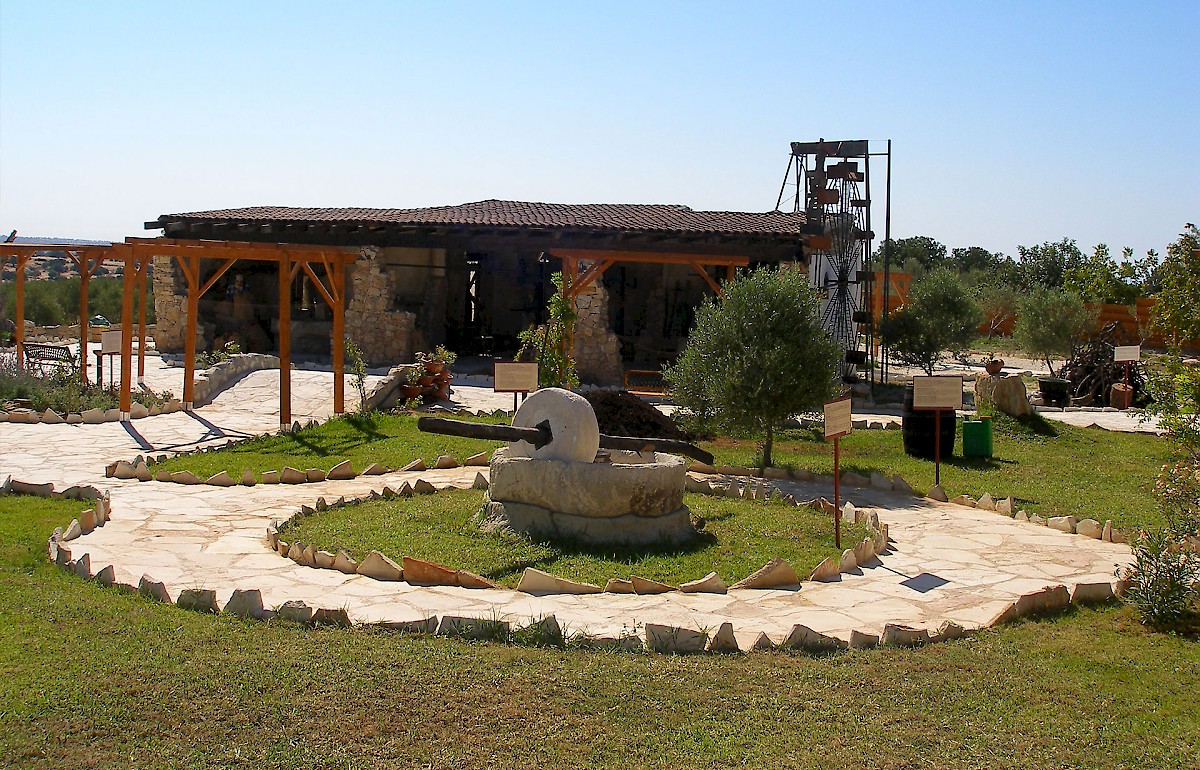 Oleastro Olive Park