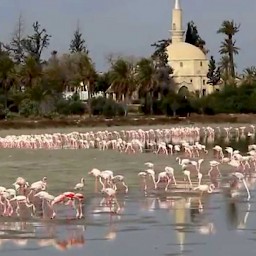 Larnaka Salt Lake