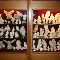 Museum of Owl